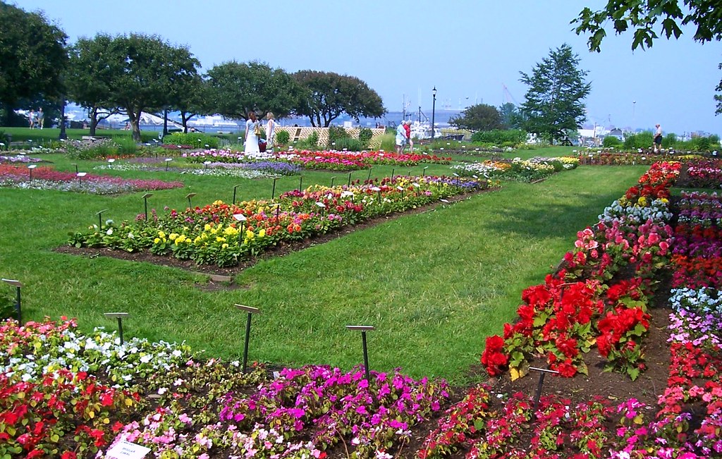 flower garden