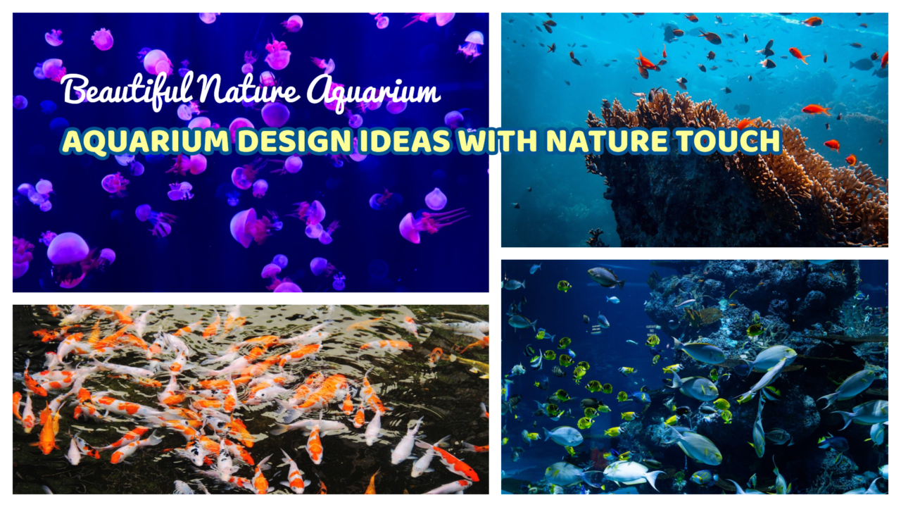 Nature Aquarium
