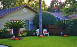 family house pumpkins halloween single family home houston texas real estate house lawn