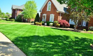 lawn care lawn maintenance lawn services grass cutting lawn mowing