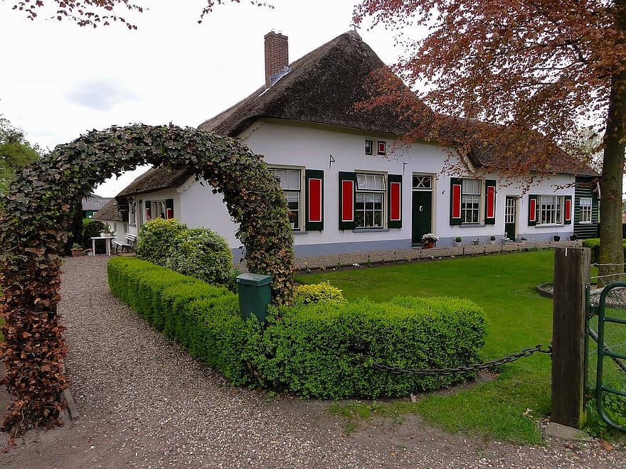 netherlands house home plants hedge architecture lawn yard trees