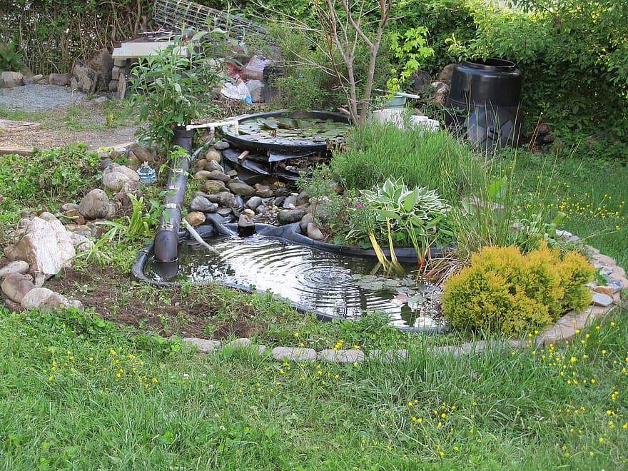 pond backyard garden water green nature yard landscape grass