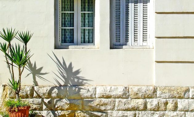 shuttered windows shutters mediterranean house windows spiky plant shadow italy architecture blooming