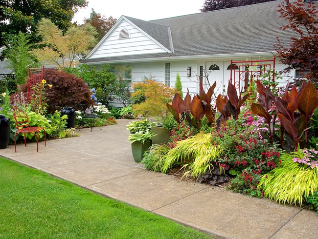 native plant beds for front yard landscaping